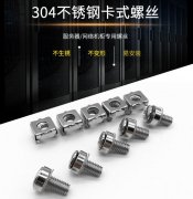 機(jī)柜螺絲-網(wǎng)絡(luò)服務(wù)器機(jī)柜托盤(pán)螺絲M6鍍鎳機(jī)柜螺